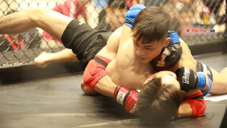 Link xem trực tiếp tứ kết giải MMA Việt Nam Lion Championship