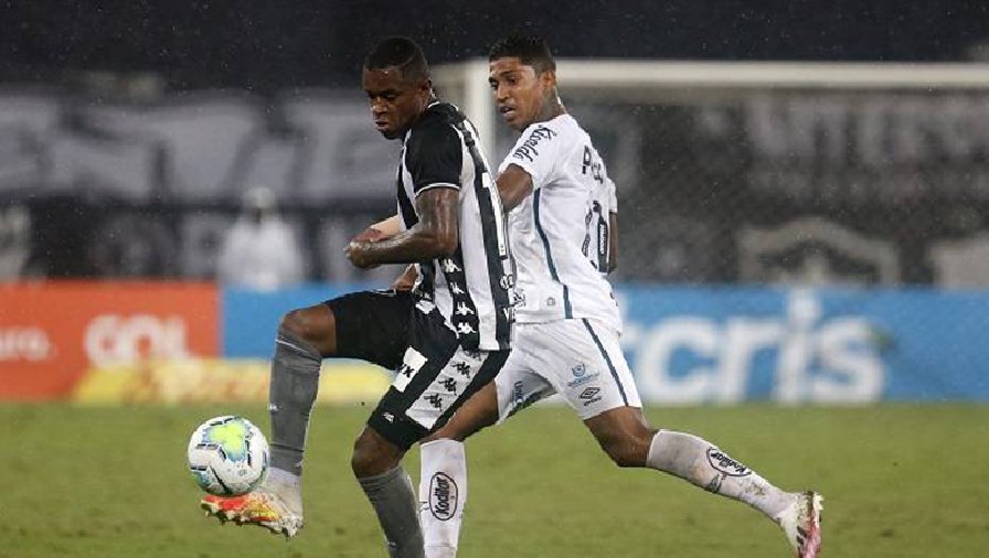 Nhận định, dự đoán Santos vs Botafogo, 7h30 ngày 21/7: Cơ hội bứt phá