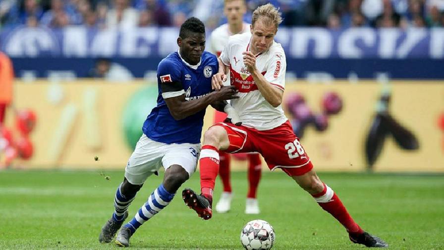 Nhận định, dự đoán Schalke vs Hamburg, 1h30 ngày 24/7: Khởi đầu may mắn