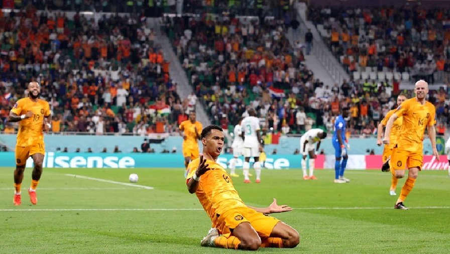Kết quả bóng đá Senegal vs Hà Lan: Người hùng Gakpo giúp thầy trò Van Gaal thắng nhọc