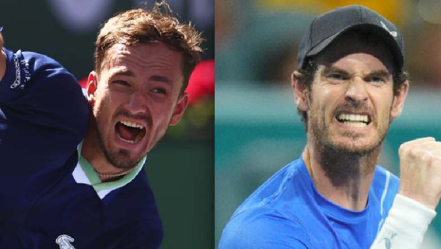Nhận định tennis Medvedev vs Murray, Chung kết Qatar Open - 22h00 ngày 25/2