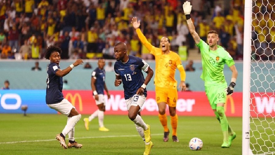 Kết quả bóng đá Hà Lan vs Ecuador: Niềm vui chia đôi, cùng nắm quyền tự quyết