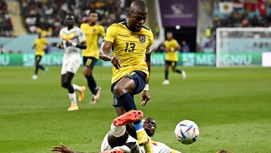 Kết quả bóng đá Ecuador vs Senegal: Người hùng Valencia hóa tội đồ, ‘La Tri’ ngậm ngùi dừng bước