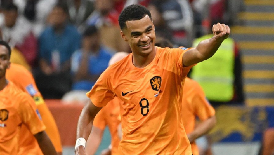 Kết quả bóng đá Hà Lan vs Qatar: 'Gà son' thăng hoa, ngôi đầu có chủ