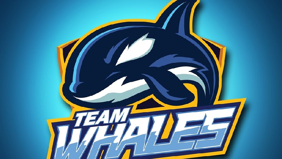 Team Whales mua lại Luxury Esports
