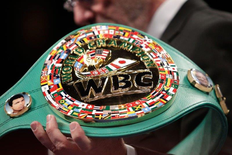WBC công bố nhà vô địch nhượng quyền thứ ba - Ảnh 1