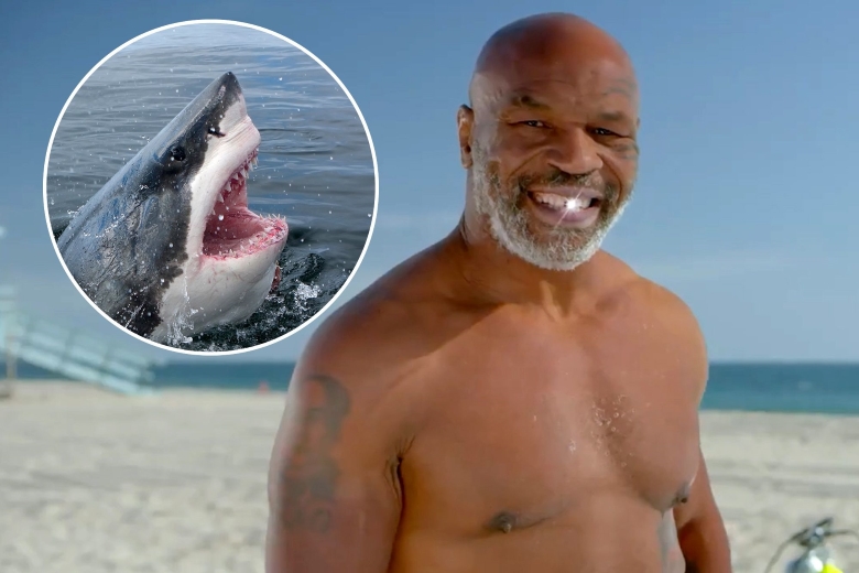 Mike Tyson: Được mời dự Shark Week mà tưởng nhầm là Shark Tank - Ảnh 1