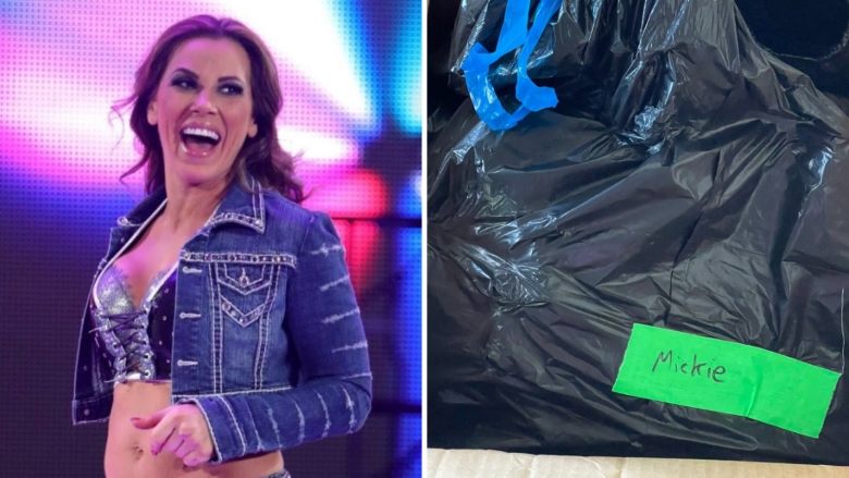 Đô vật kì cựu tố nhận túi đồ nghề trong bọc rác, lãnh đạo WWE phải can thiệp - Ảnh 1