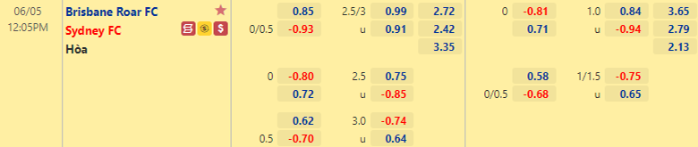 Nhận định bóng đá Brisbane Roar vs Sydney, 12h05 ngày 5/6: Đối thủ khó nhằn - Ảnh 1