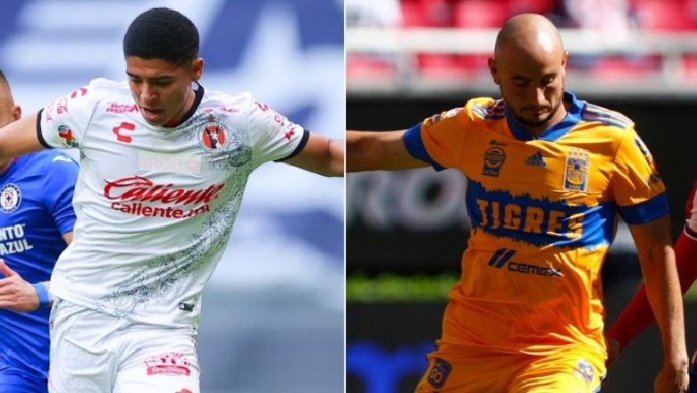 Link xem trực tiếp bóng đá Tijuana vs Tigres UANL, 09h06 ngày 26/7 - Ảnh 1