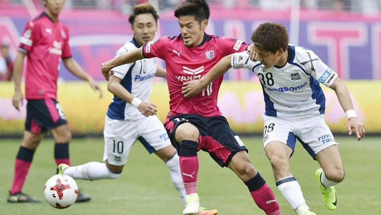 Link xem trực tiếp bóng đá Cerezo Osaka vs Albirex Niigata, 16h00 ngày 4/8 - Ảnh 1