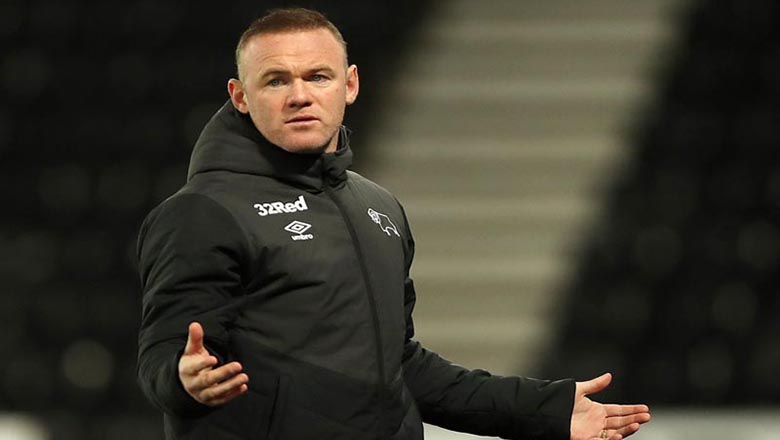 Rooney muốn làm HLV của Newcastle - Ảnh 1