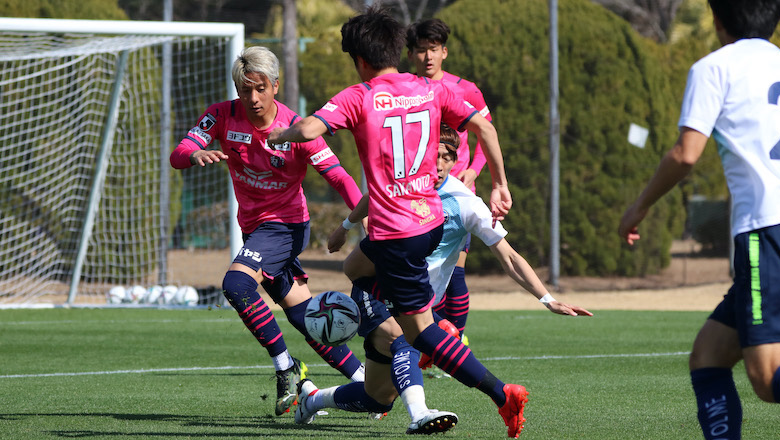 Link xem trực tiếp bóng đá Tokushima Vortis vs Cerezo Osaka, 12h00 ngày 3/11 - Ảnh 1