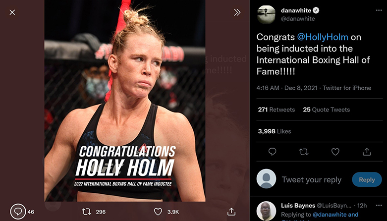 Holly Holm được đề cử vào Sảnh Danh Vọng của làng Quyền Anh - Ảnh 2