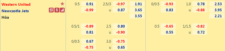 Nhận định, dự đoán Western United vs Newcastle Jets, 11h05 ngày 5/3: Đánh chiếm ngôi đầu - Ảnh 2
