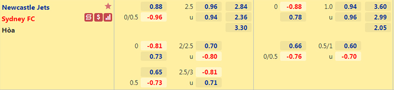 Nhận định, dự đoán Newcastle Jets vs Sydney, 15h45 ngày 25/3: Cơ hội cuối cùng - Ảnh 3