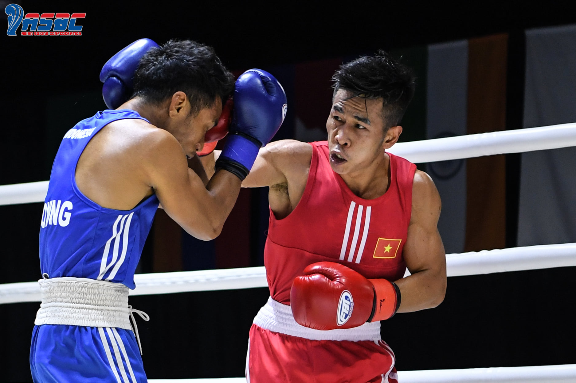 Liên đoàn Boxing châu Á: Võ sĩ Việt Nam tỏa sáng ở giải Thái Lan Mở rộng - Ảnh 2