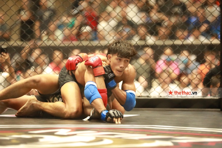 Link xem trực tiếp MMA Lion Championship vòng loại miền Trung - Tây Nguyên - Ảnh 2