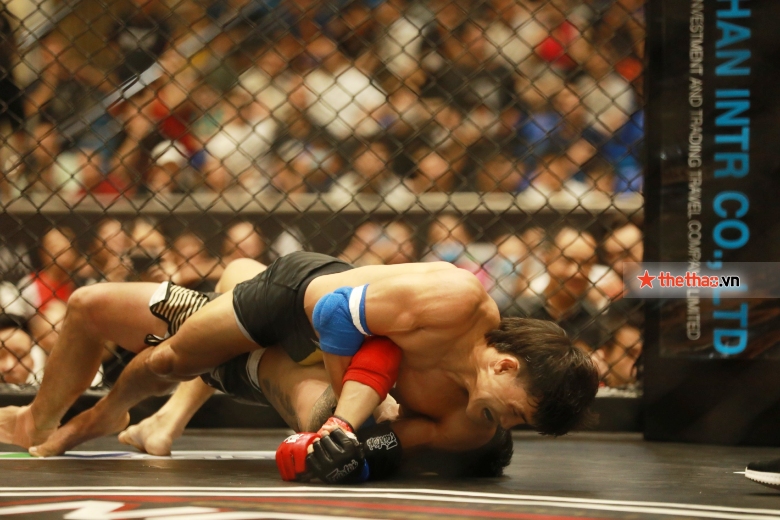 Vòng tứ kết giải MMA Lion Championship diễn ra tại TP Hồ Chí Minh - Ảnh 1