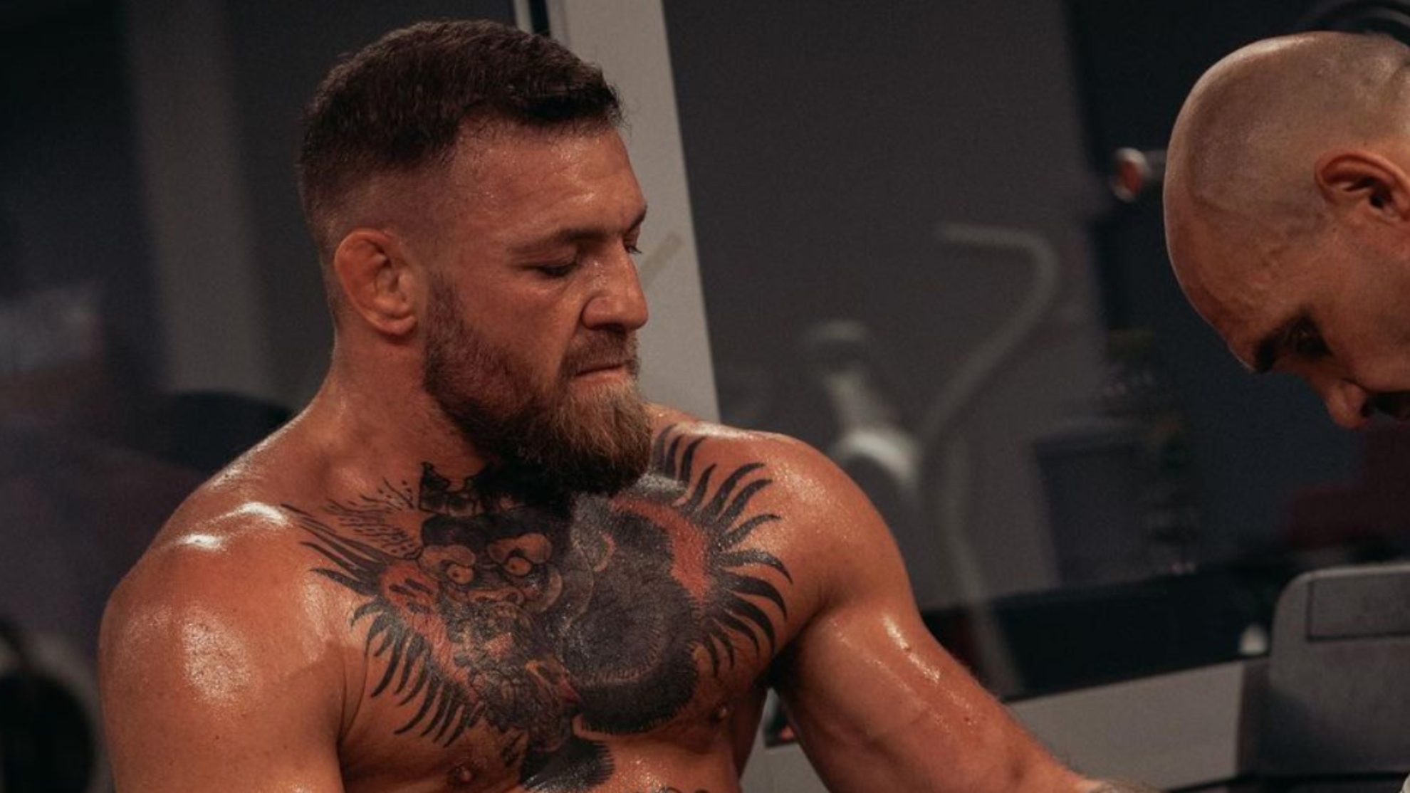McGregor trở lại đấu trường UFC vào đầu mùa thu? - Ảnh 2