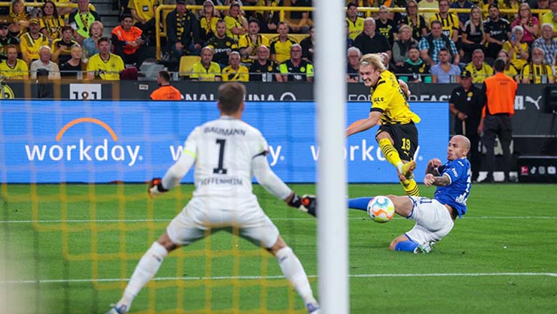 Kết quả Dortmund vs Hoffenheim: Reus mang về chiến thắng - Ảnh 2