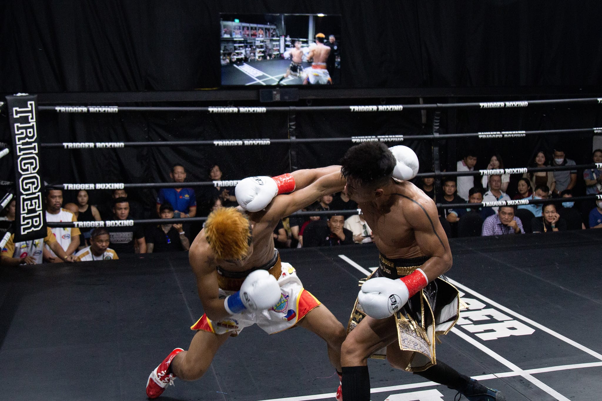 Trần Văn Thảo đặt mục tiêu thách đấu Naoya Inoue sau đai Boxing IBA thế giới - Ảnh 1