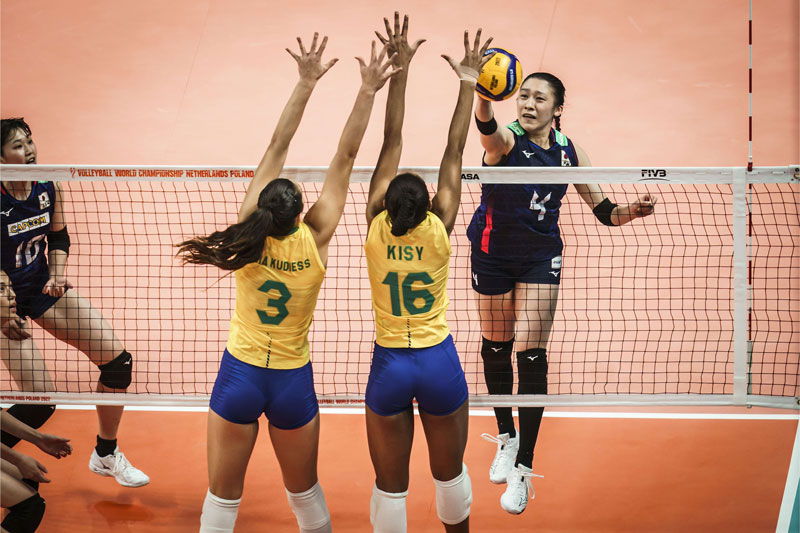 Link xem trực tiếp bóng chuyền nữ Nhật Bản vs Brazil, 01h00 ngày 12/10 - Ảnh 1
