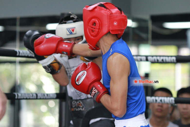 Boxing nam Hà Nội đấu tập cùng CLB Trigger trước Đại hội Thể thao Toàn quốc - Ảnh 1