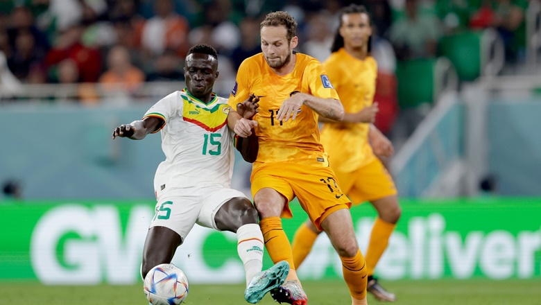 Kết quả Senegal vs Hà Lan: Người hùng Gakpo, thầy trò Van Gaal thắng nhọc - Ảnh 1