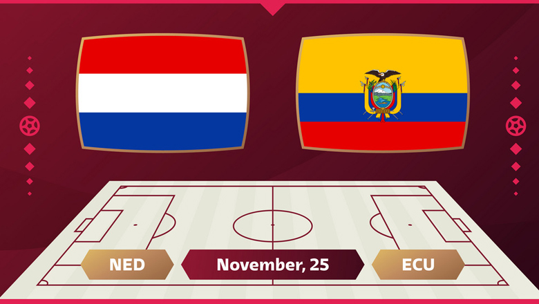 Thành tích, lịch sử đối đầu Hà Lan vs Ecuador, 23h00 ngày 25/11 - Ảnh 2