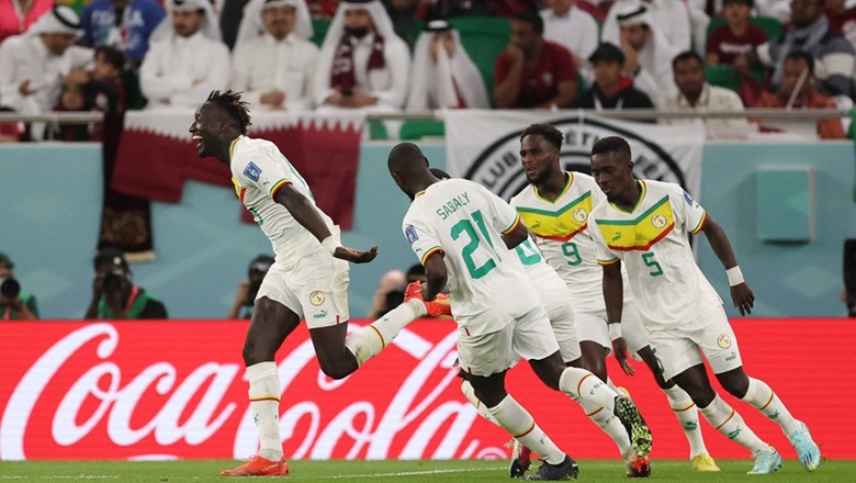 Trận Senegal vs Ecuador đội nào mạnh hơn? - Ảnh 1