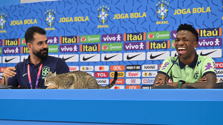 Vinicius bật cười vì… mèo tham dự buổi họp báo trước trận Croatia vs Brazil - Ảnh 2