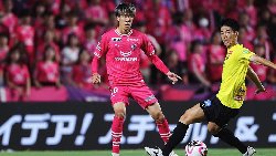 Nhận định Cerezo Osaka vs Arterivo Wakayama, Cup Hoàng đế Nhật Bản, lực lượng, đội hình dự kiến